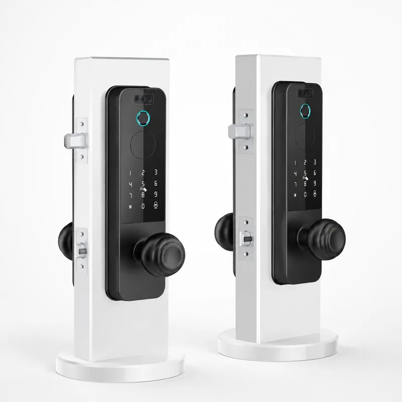 国境を越えて使える木製ドアロック、顔認証スマートロック、グラ - Smart Door Lock Wifi のレビューと価格